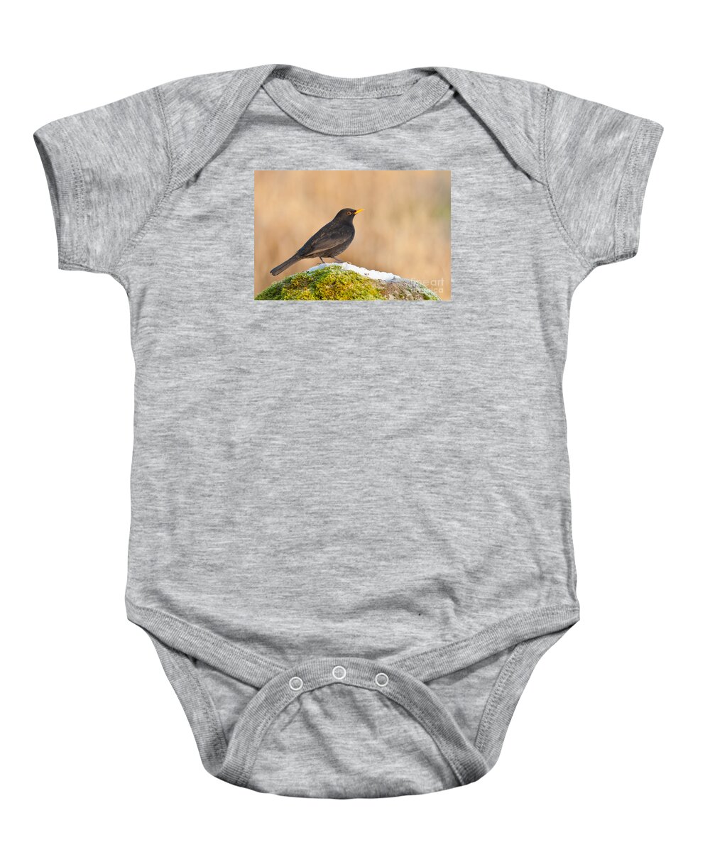 Blackbird Baby Onesie featuring the photograph Male Blackbird Turdus merula #2 by Liz Leyden