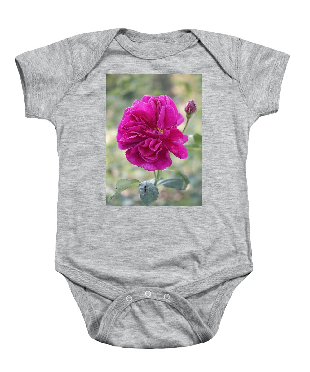 Rose Baby Onesie featuring the photograph Pink rose #2 by Matthias Hauser
