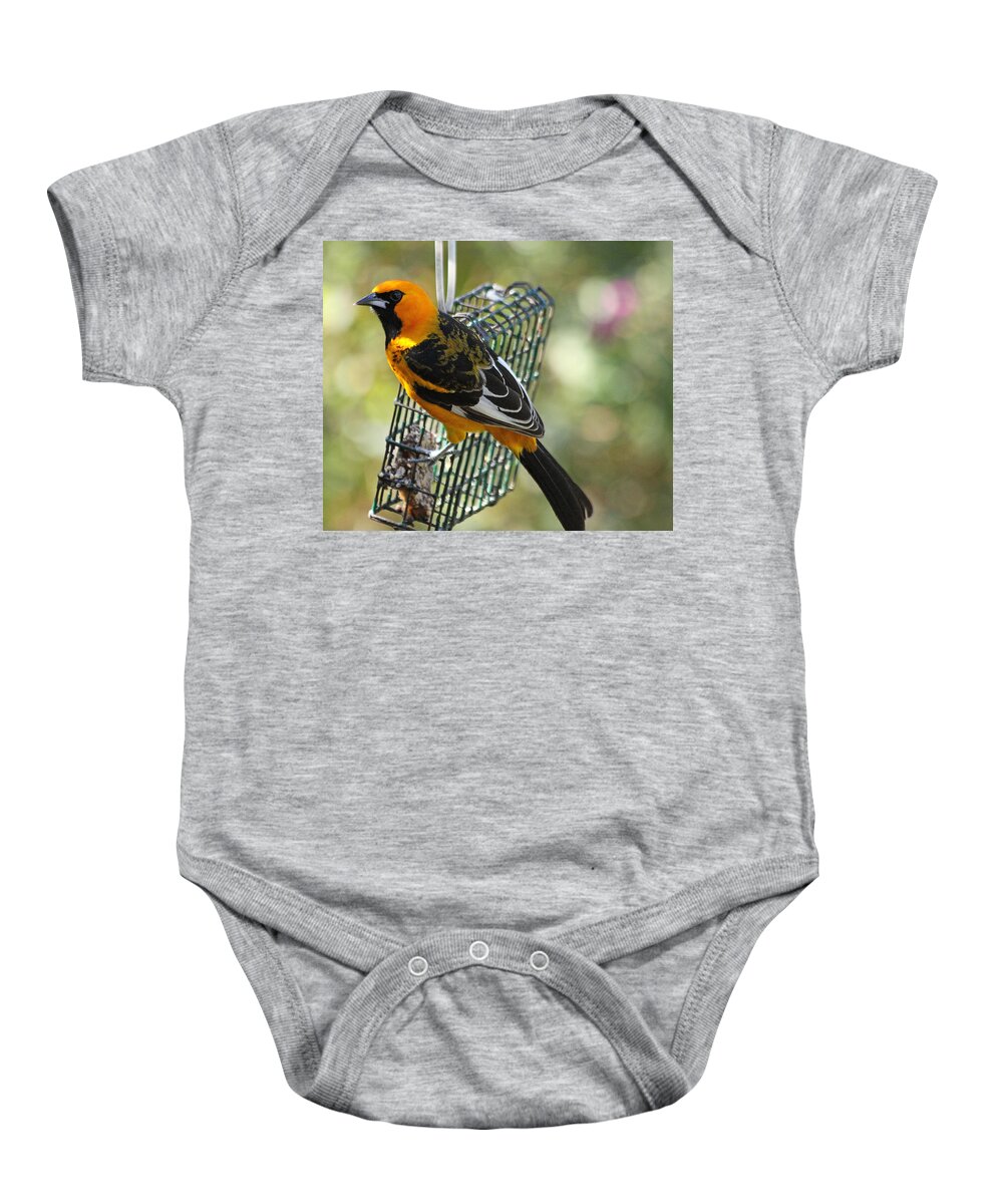 Birds Baby Onesie featuring the photograph Spot Breasted Oriole #1 by Dart Humeston