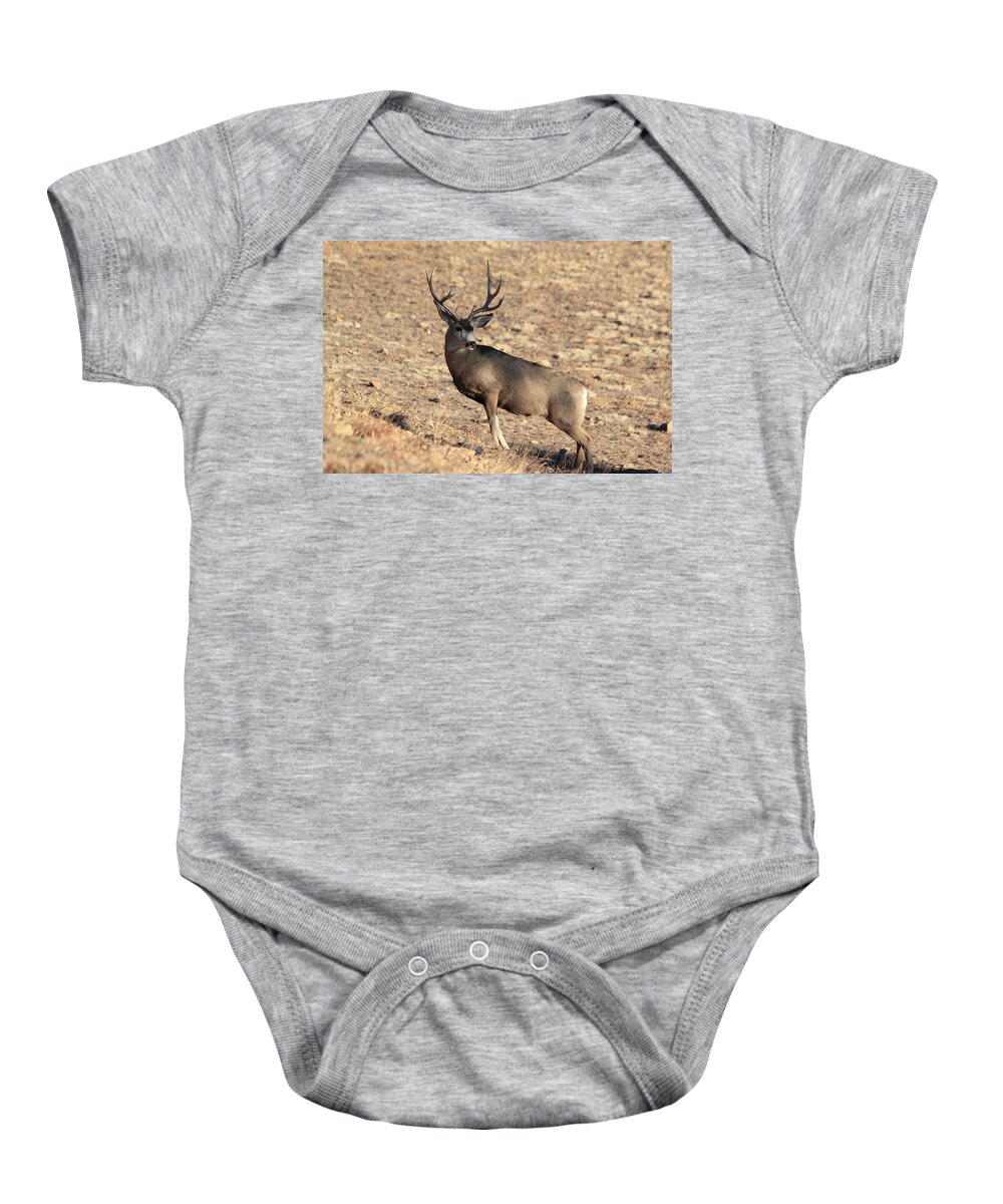 Mule Deer Baby Onesie featuring the photograph The Climb #1 by Shane Bechler
