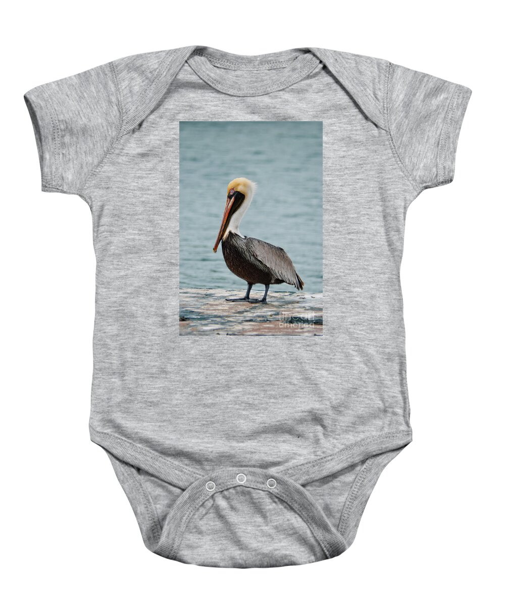 Usa Baby Onesie featuring the photograph The Pelican #2 by Hannes Cmarits