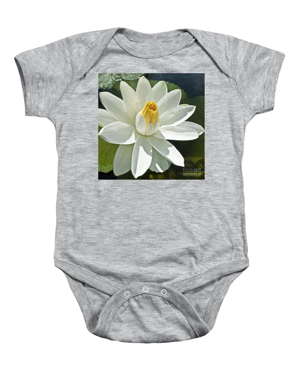 Water Llilies Baby Onesie featuring the photograph White Water Lily - Nymphaea #1 by Heiko Koehrer-Wagner