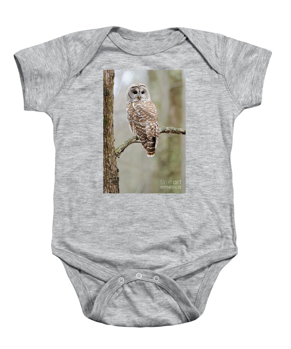 Barred Owl Baby Onesie featuring the photograph Barred Owl by Scott Linstead