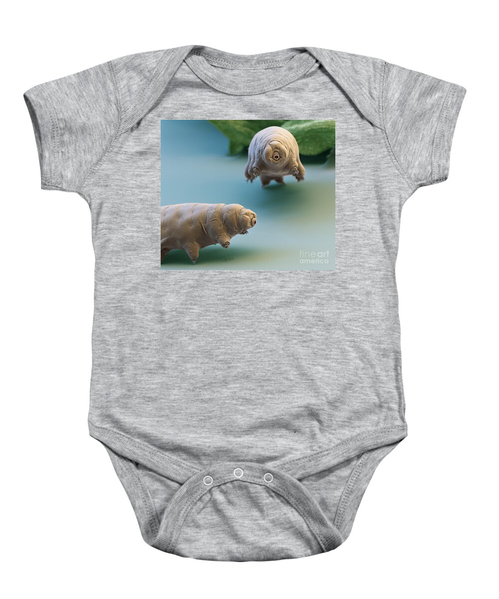 Paramacrobiotus Fairbanki Baby Onesie featuring the photograph Water Bear #13 by Eye of Science and Science Source