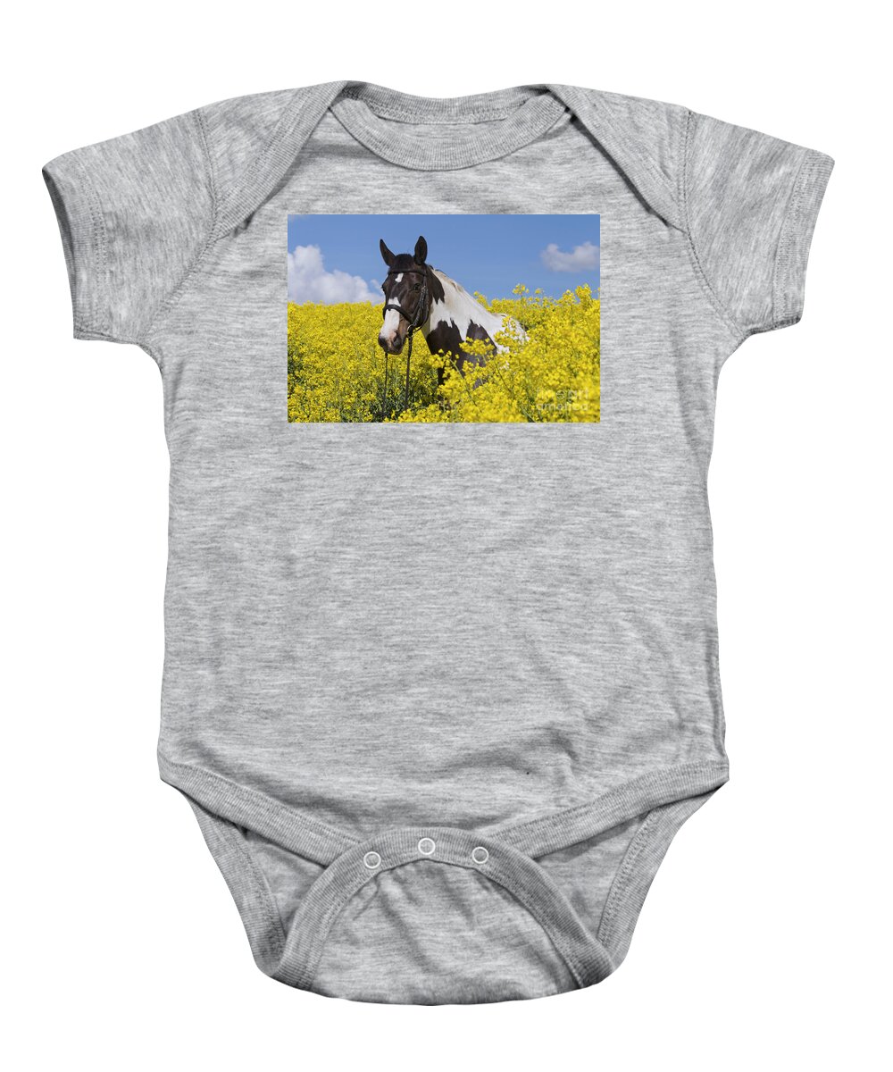 American Indian Horse Baby Onesie featuring the photograph 140804p239 by Arterra Picture Library