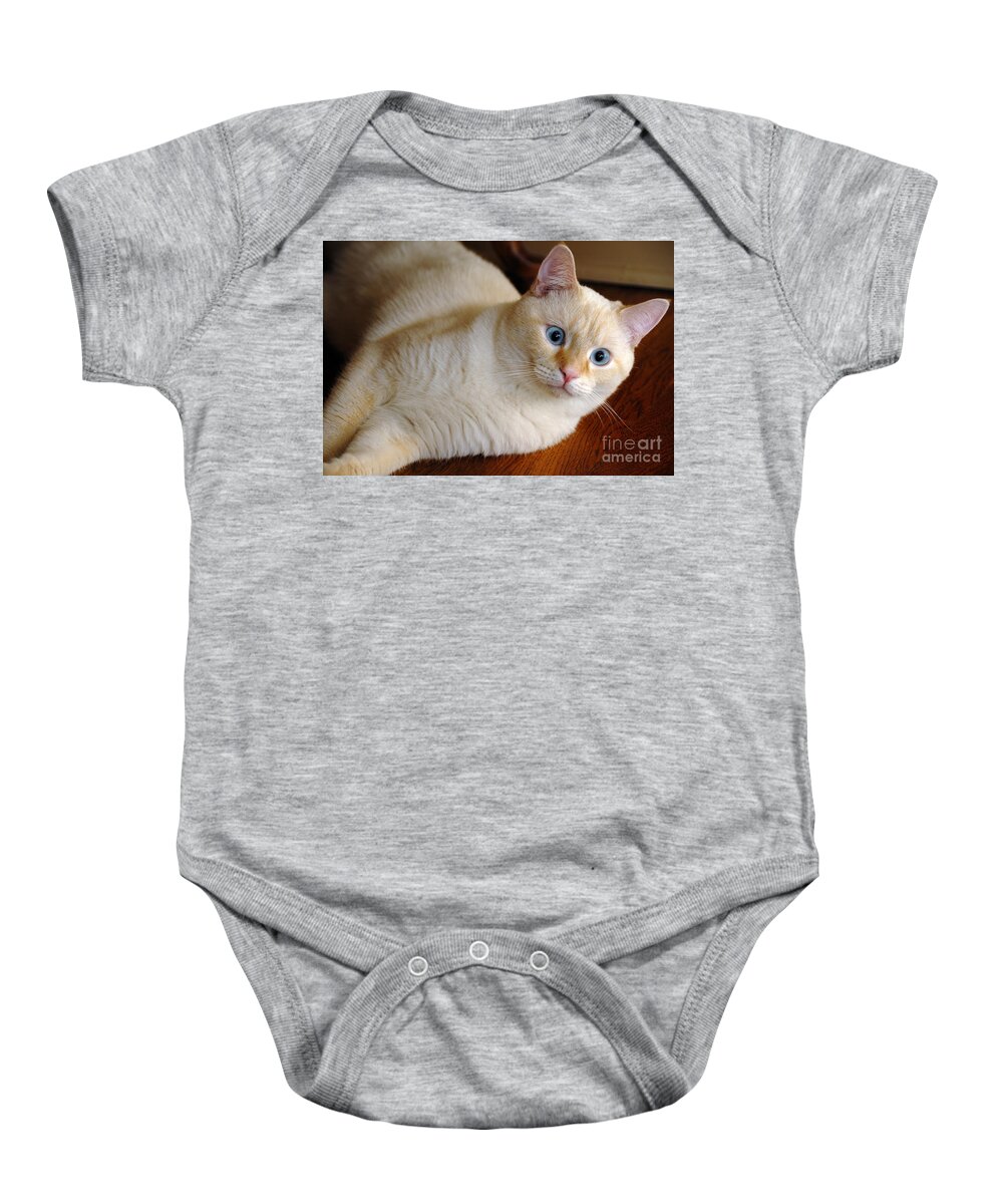 Blue Eyes Baby Onesie featuring the photograph Flame Point Siamese Cat #17 by Amy Cicconi
