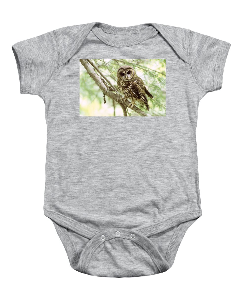 Northern Spotted Owl Baby Onesie featuring the photograph Northern Spotted Owl #2 by Art Wolfe