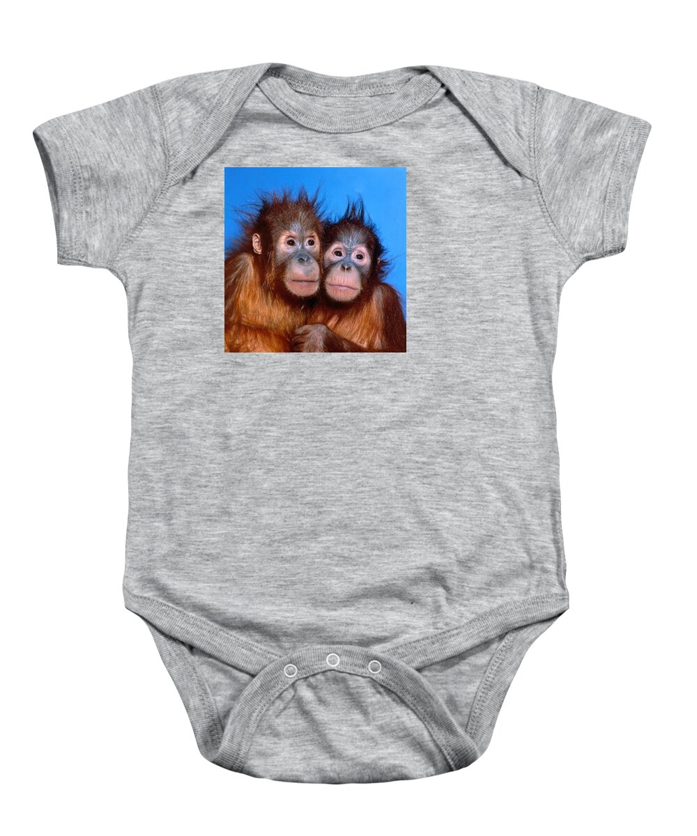 Animal Baby Onesie featuring the photograph Orangutan Pongo Pygmaeus Babies #5 by Toni Angermayer