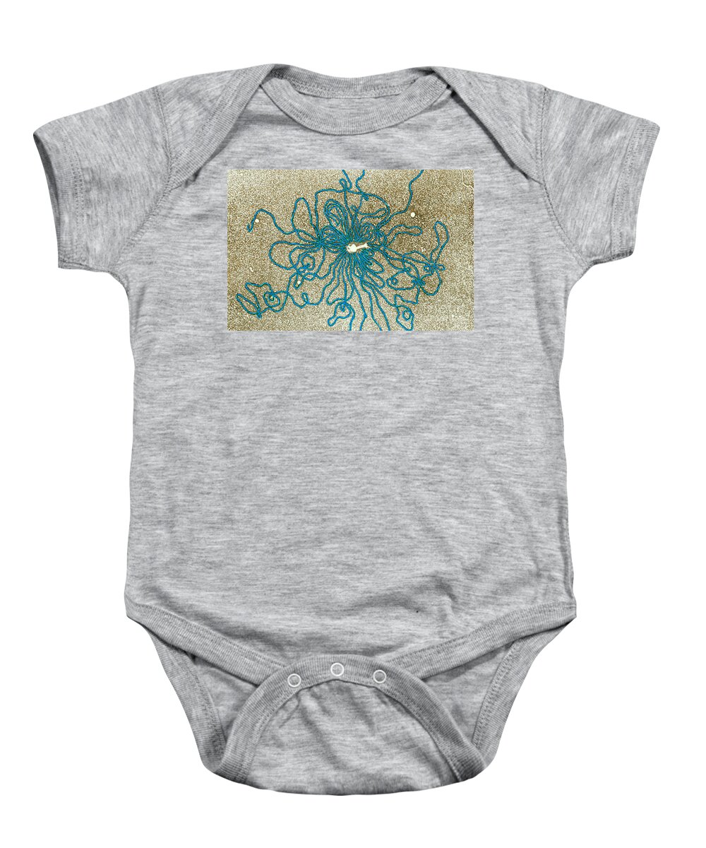 Dna Baby Onesie featuring the photograph Tem Of Dna #2 by Biology Pics