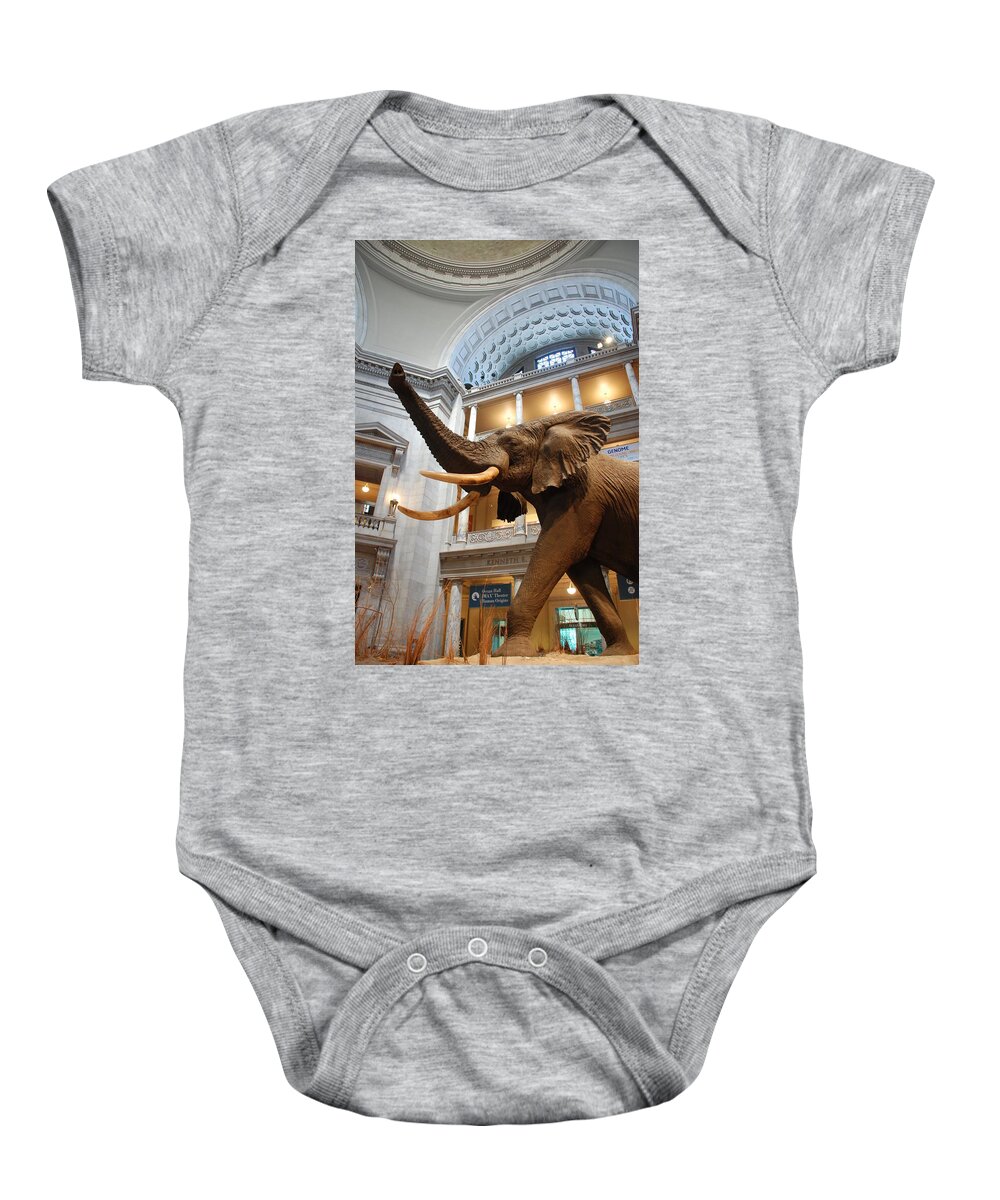 Bull Elephant Baby Onesie featuring the photograph Bull Elephant in Natural History Rotunda #3 by Kenny Glover
