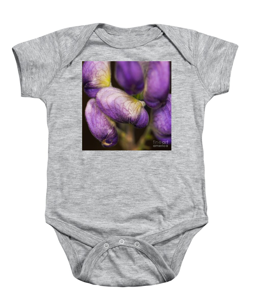 Flower Baby Onesie featuring the photograph Purple Wolf's bane flower buds closeup by Nick Biemans