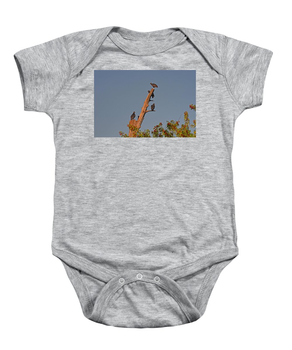  Baby Onesie featuring the photograph 4- Black Vultures by Joseph Keane