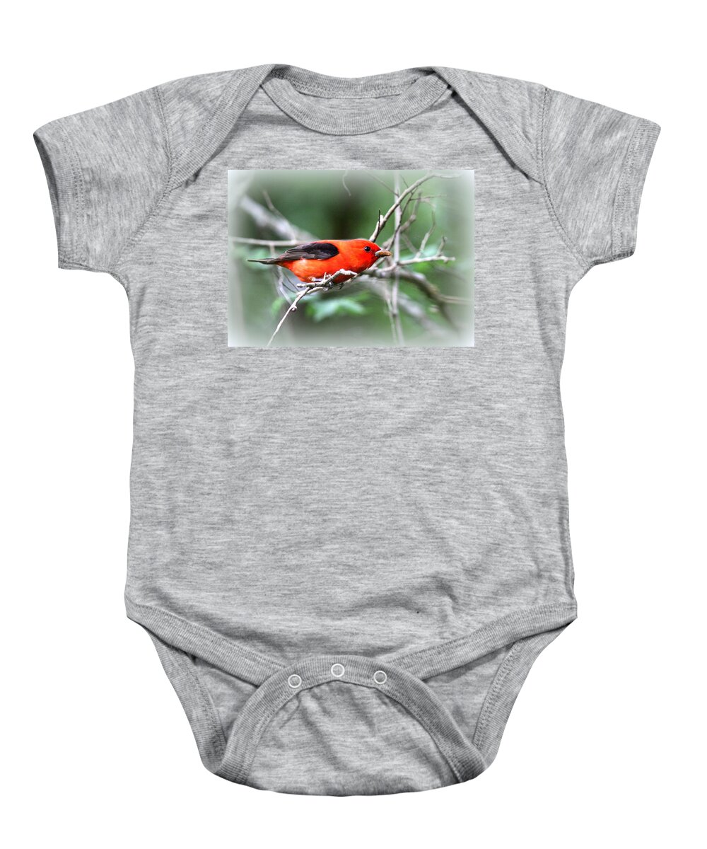 Scarlet Tanager Baby Onesie featuring the photograph Scarlet Tanager #4 by Travis Truelove