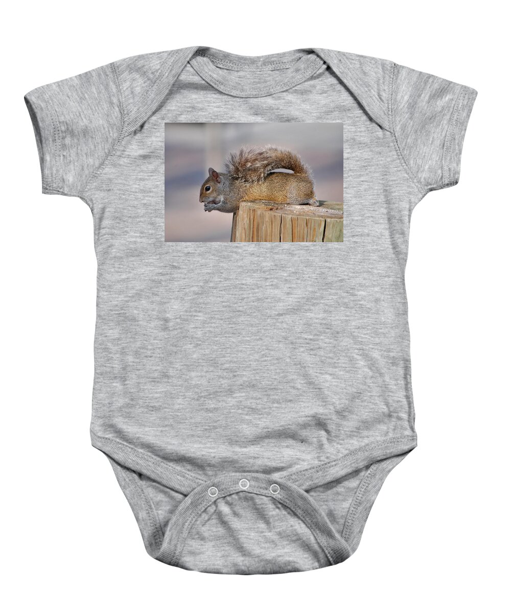 Squirrel Baby Onesie featuring the photograph 6- Squirrel by Joseph Keane