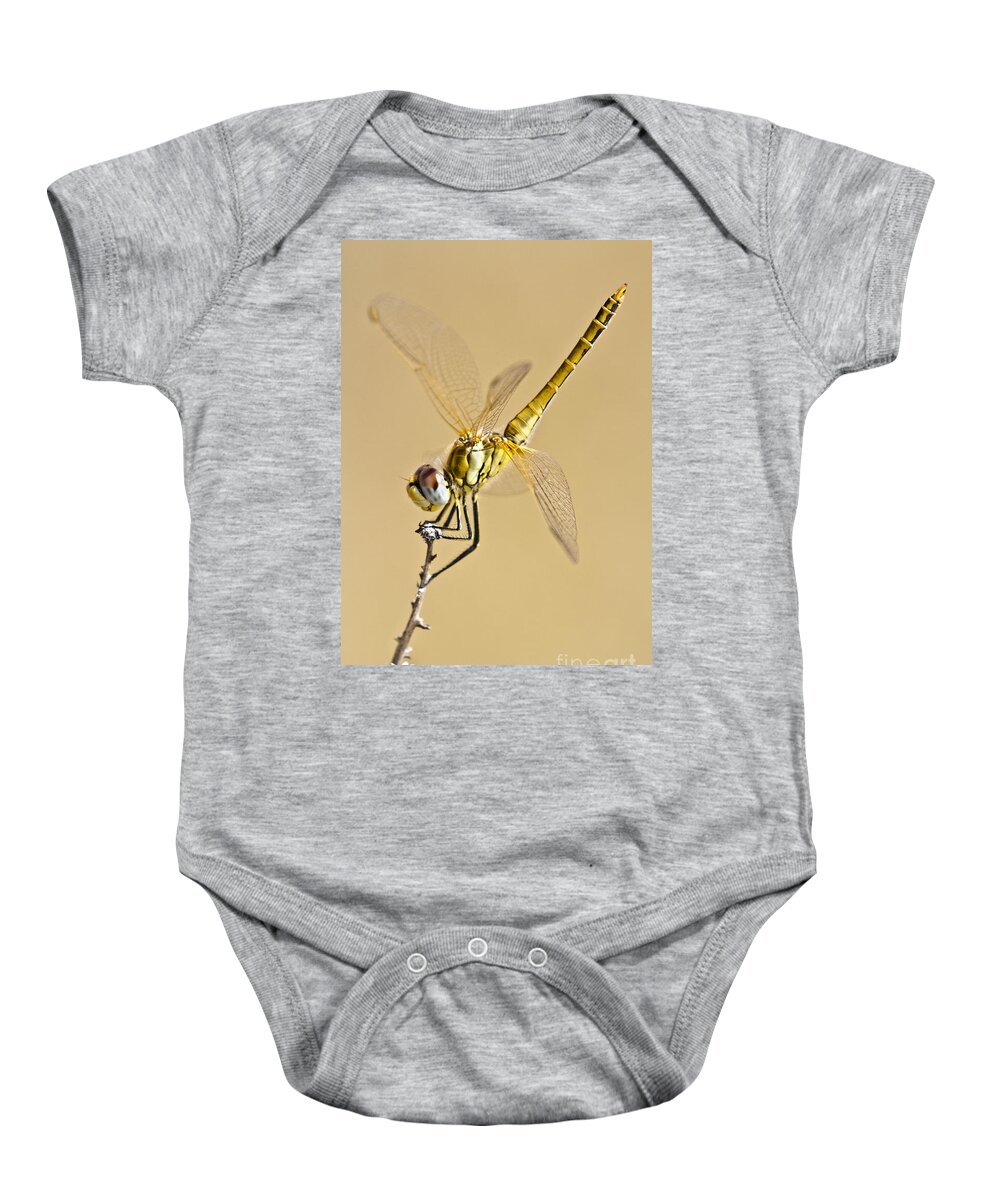 Animal Baby Onesie featuring the photograph A Dragon Flies by Heiko Koehrer-Wagner