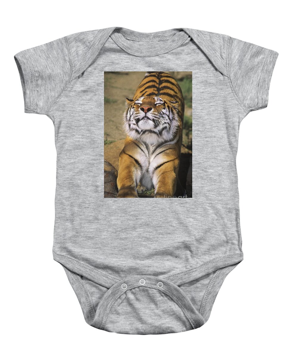 Siberian Tiger Baby Onesie featuring the photograph A Tough Day Siberian Tiger Endangered Species Wildlife Rescue by Dave Welling