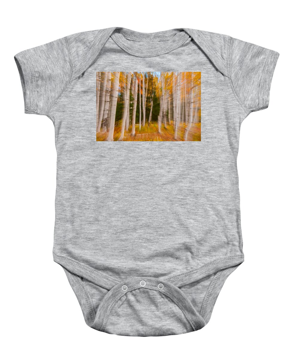 New England Baby Onesie featuring the photograph Abstract Autumn Birches by Brenda Jacobs