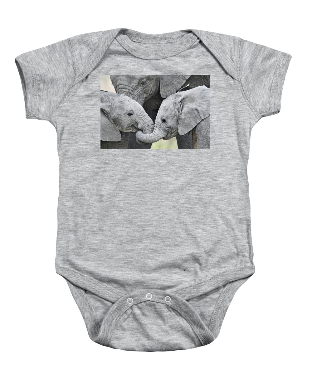 Photography Baby Onesie featuring the photograph African Elephant Calves Loxodonta by Panoramic Images