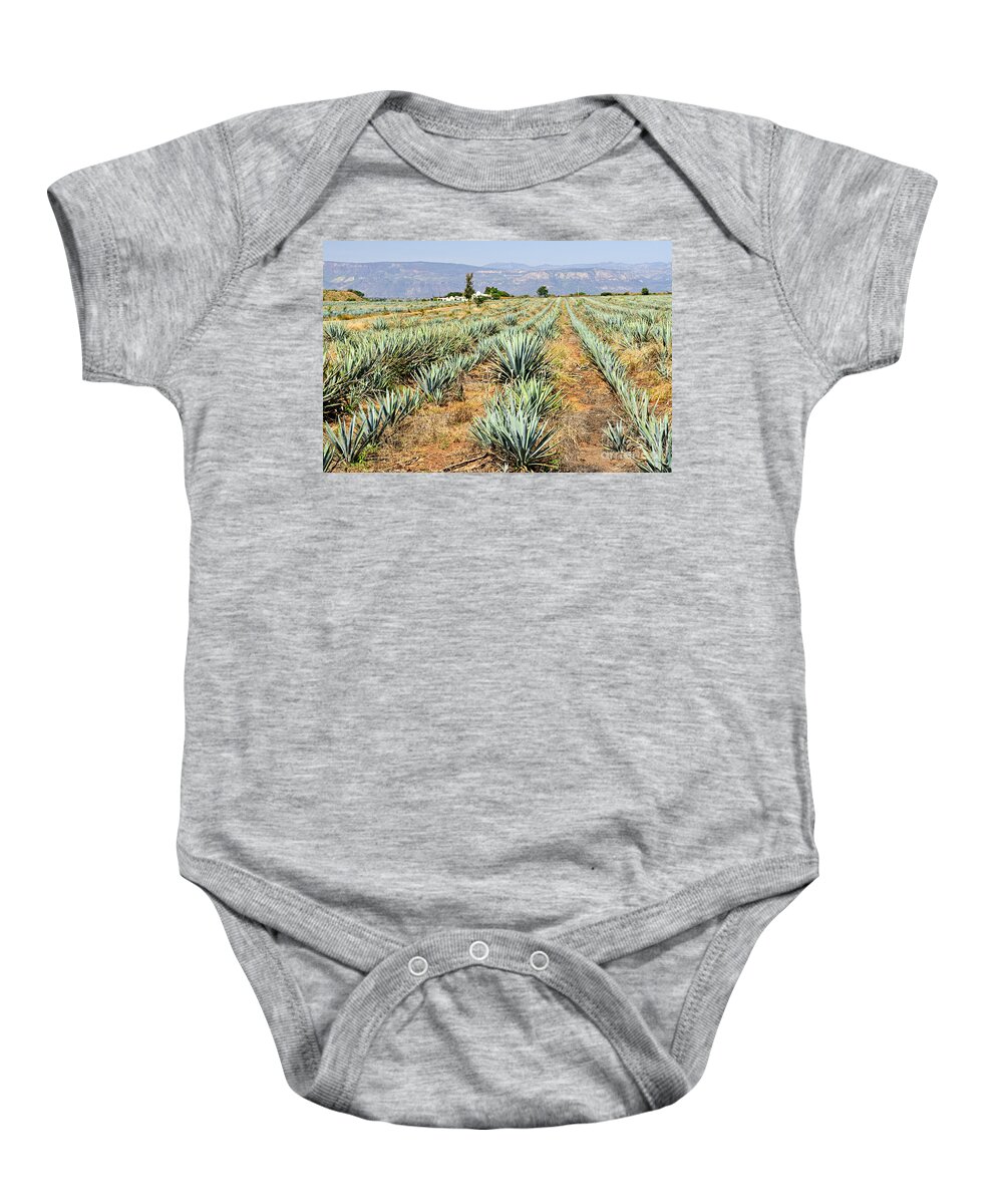 Agave Baby Onesie featuring the photograph Agave cactus field in Mexico 3 by Elena Elisseeva