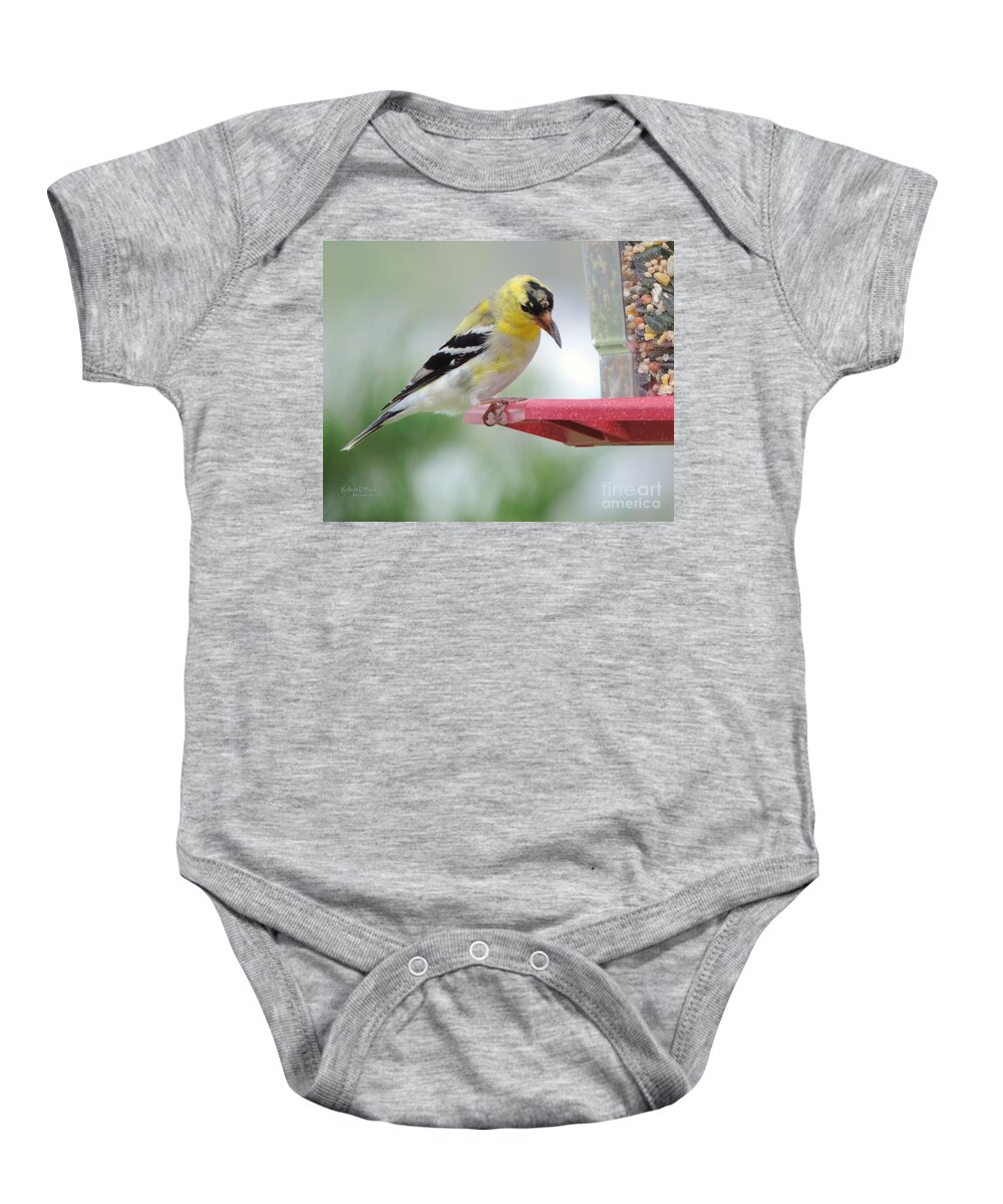 American Goldfinch Birds Baby Onesie featuring the photograph American Goldfinch at the Feeder 03 by Robert ONeil