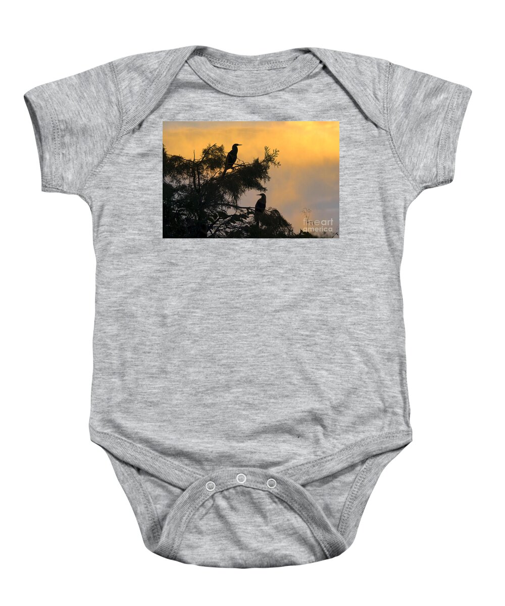 Nature Baby Onesie featuring the photograph Anhingas by Mark Newman