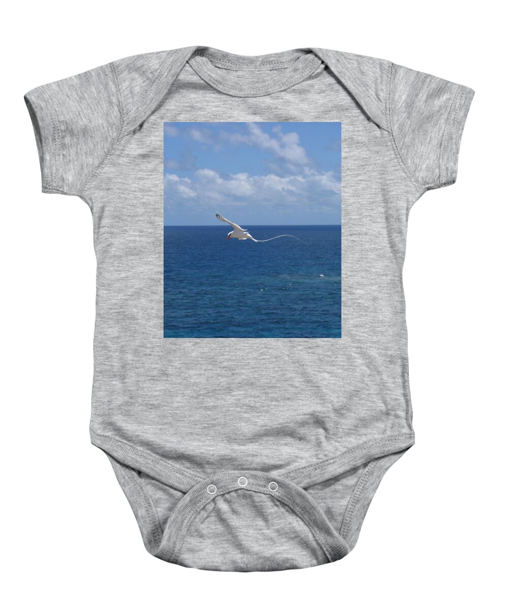 Seabird Baby Onesie featuring the photograph Antigua - In flight by HEVi FineArt