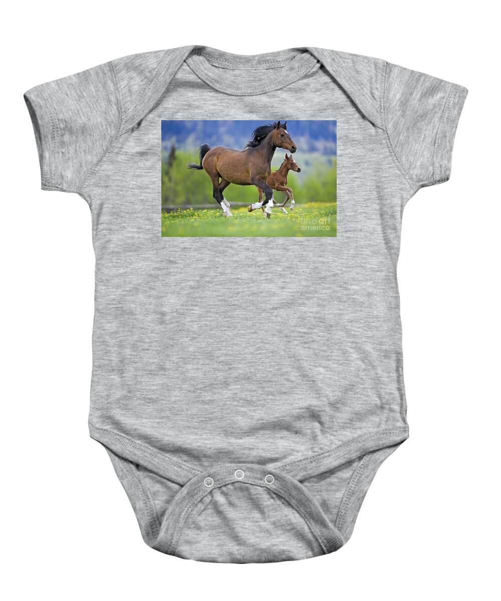 Arabian Baby Onesie featuring the photograph Arabian Bay Mare And Foal by Rolf Kopfle