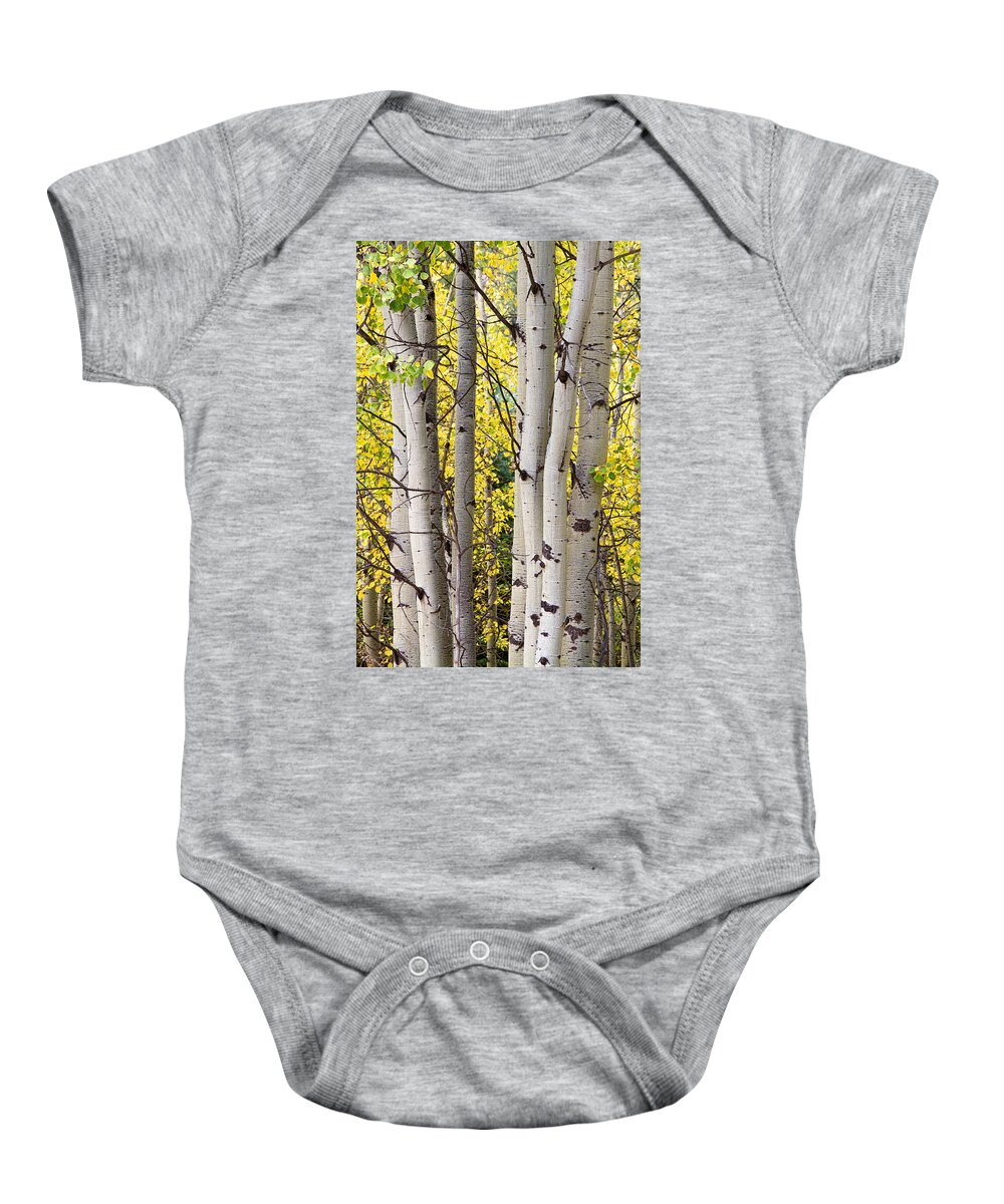 Aspen Baby Onesie featuring the photograph Aspen Trees in Autumn Color Portrait View by James BO Insogna