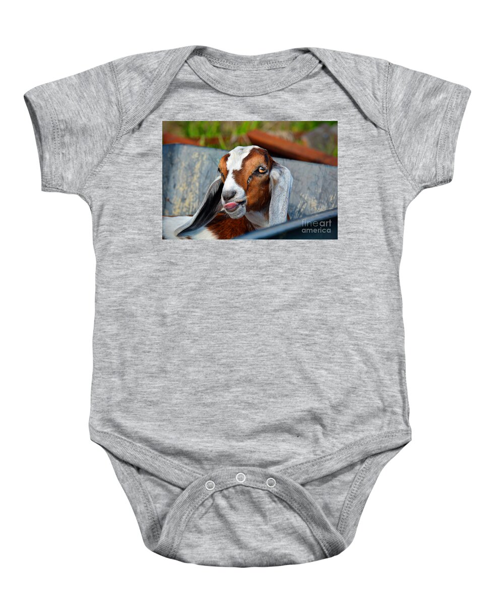 Attitude Is Everything Baby Onesie featuring the photograph Attitude Is Everything by Savannah Gibbs