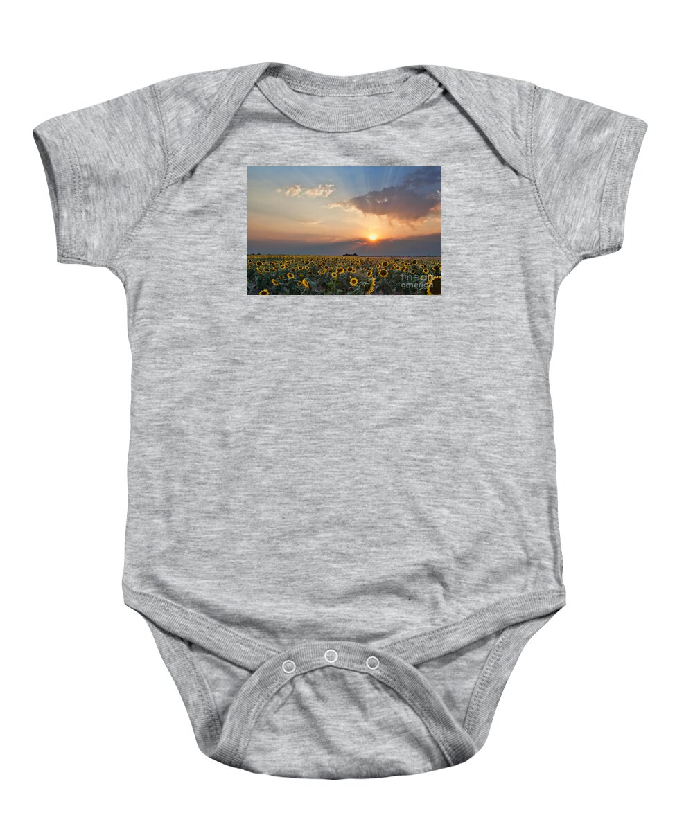 Flowers Baby Onesie featuring the photograph August Dreams by Jim Garrison