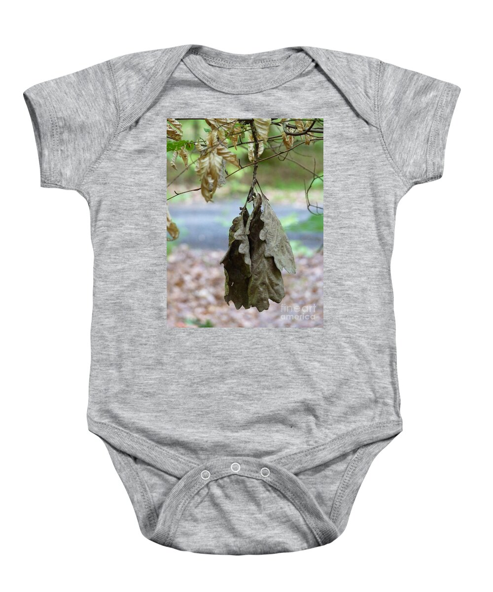 Autumn Baby Onesie featuring the photograph Autumn leaves in summer by Eva-Maria Di Bella