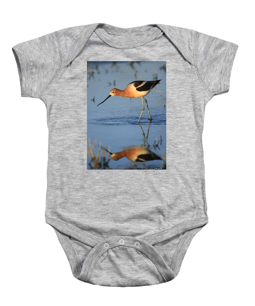 Landscapes Baby Onesie featuring the photograph Avocet Mirror by John F Tsumas