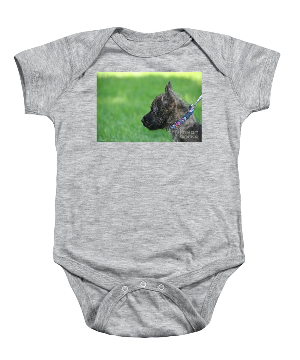 Dog Baby Onesie featuring the photograph Baby Cairn by Susan Herber