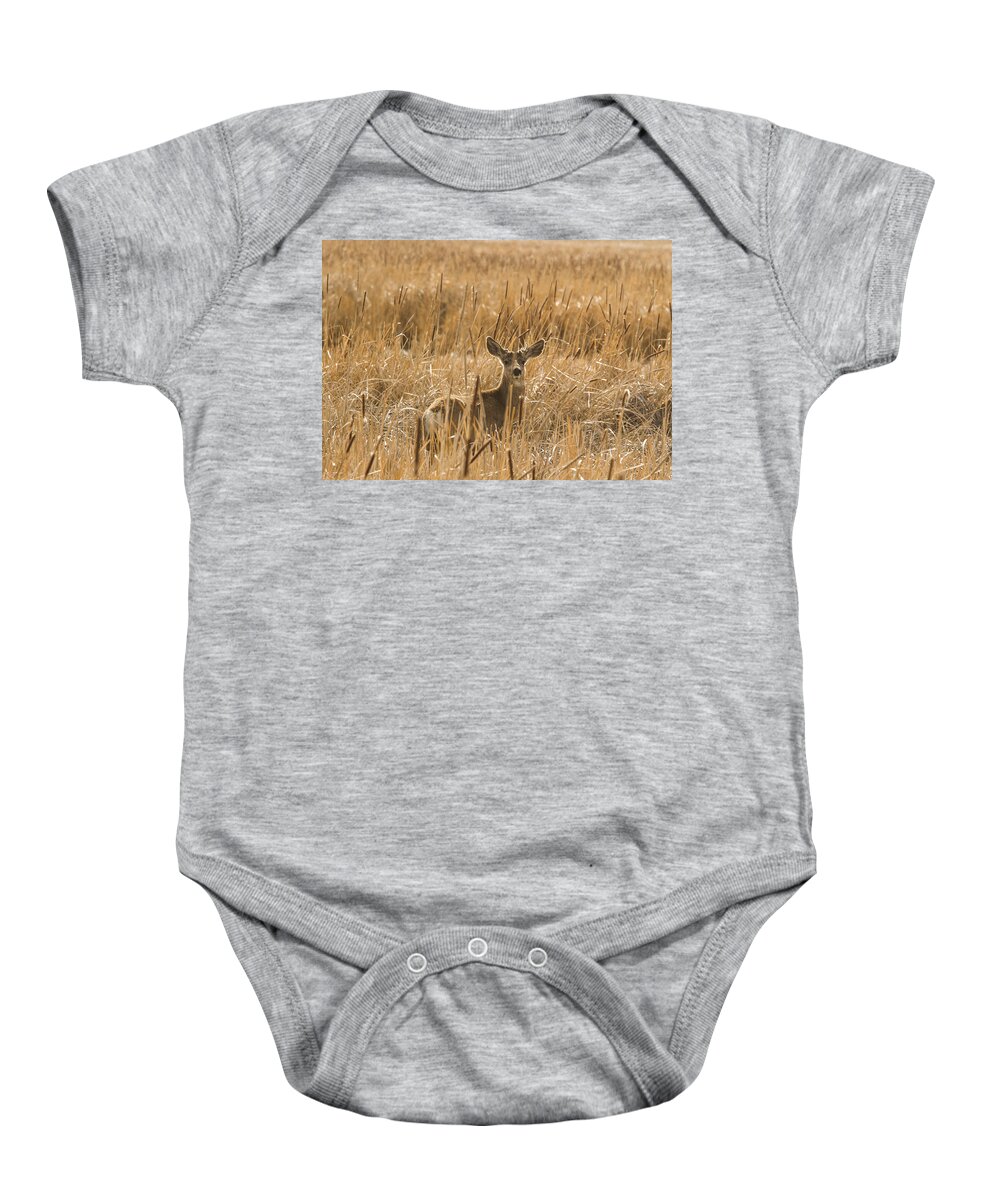 Animal Baby Onesie featuring the photograph Backlit Deer by Jean Noren