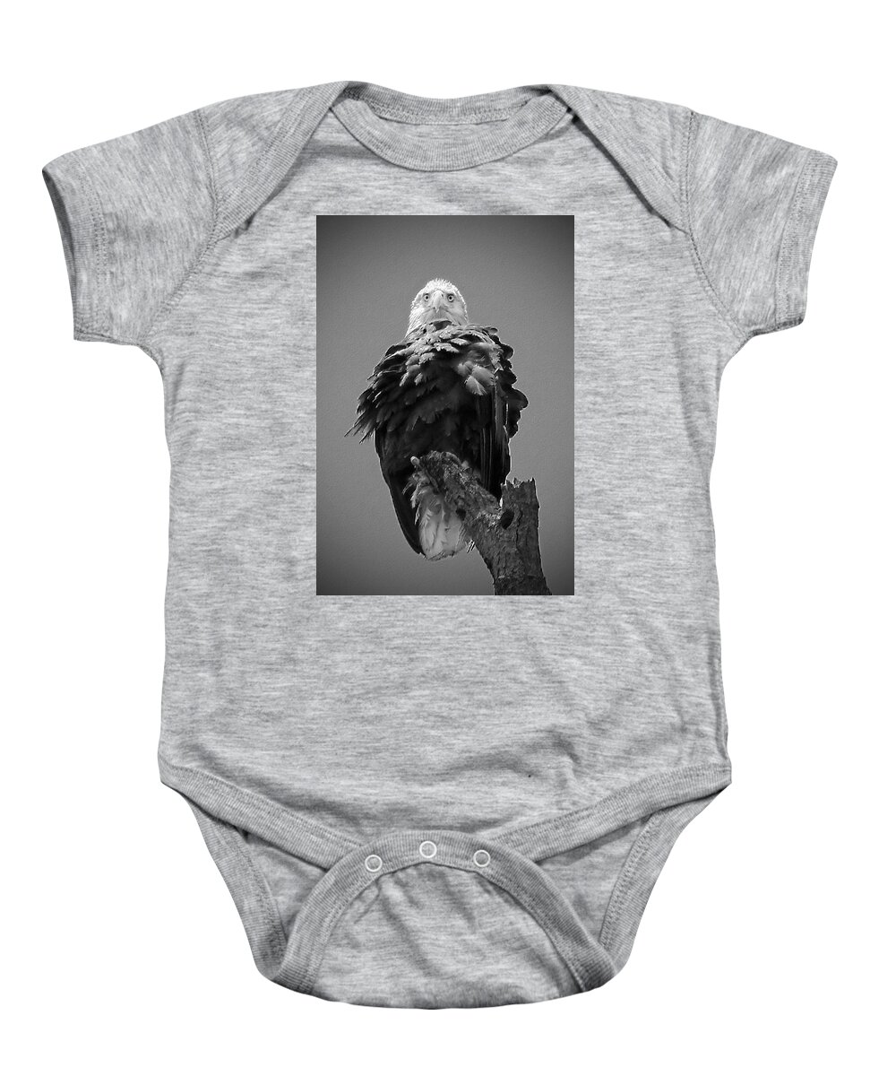 Bald Baby Onesie featuring the photograph Bald Eagle Stare B W by Jemmy Archer