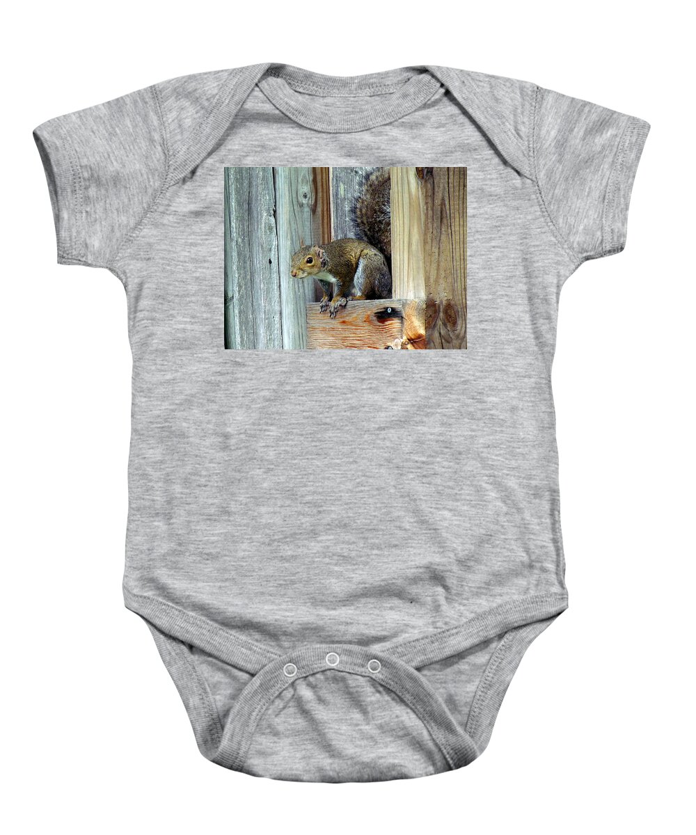 Squirrel Baby Onesie featuring the photograph Battle Scarred Squirrel by J M Farris Photography