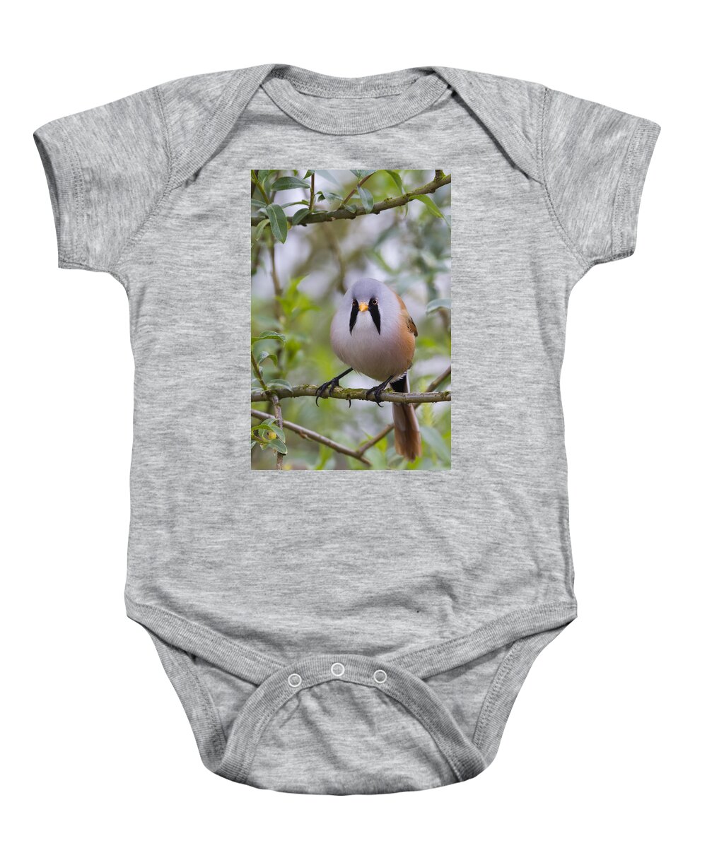 Bearded Tit Baby Onesie featuring the photograph Bearded Tit - 5 by Chris Smith
