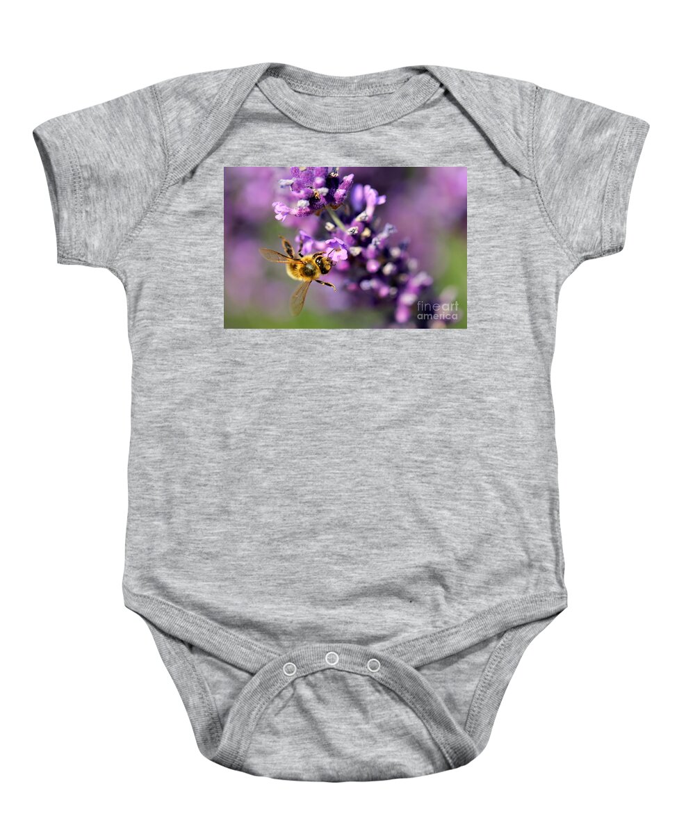 Bee Baby Onesie featuring the photograph Bee on the Lavender Branch by Amanda Mohler
