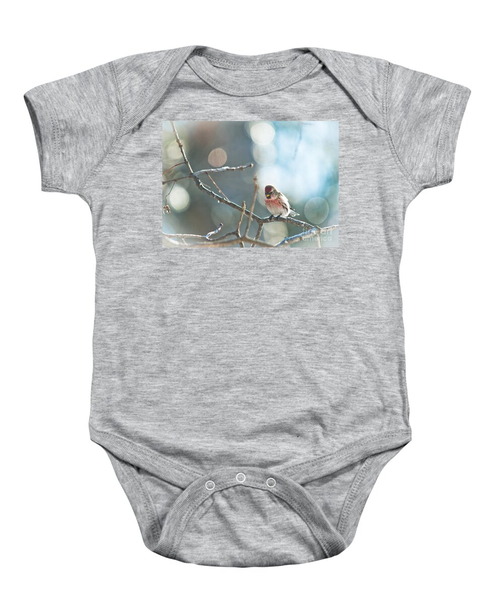 Landscapes Baby Onesie featuring the photograph Bird in Bokeh by Cheryl Baxter
