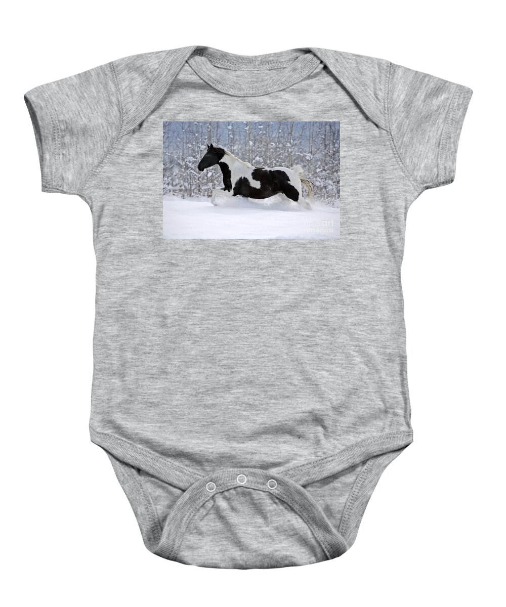 Black And White Baby Onesie featuring the photograph Black And White Paint Horse In Snow by Rolf Kopfle