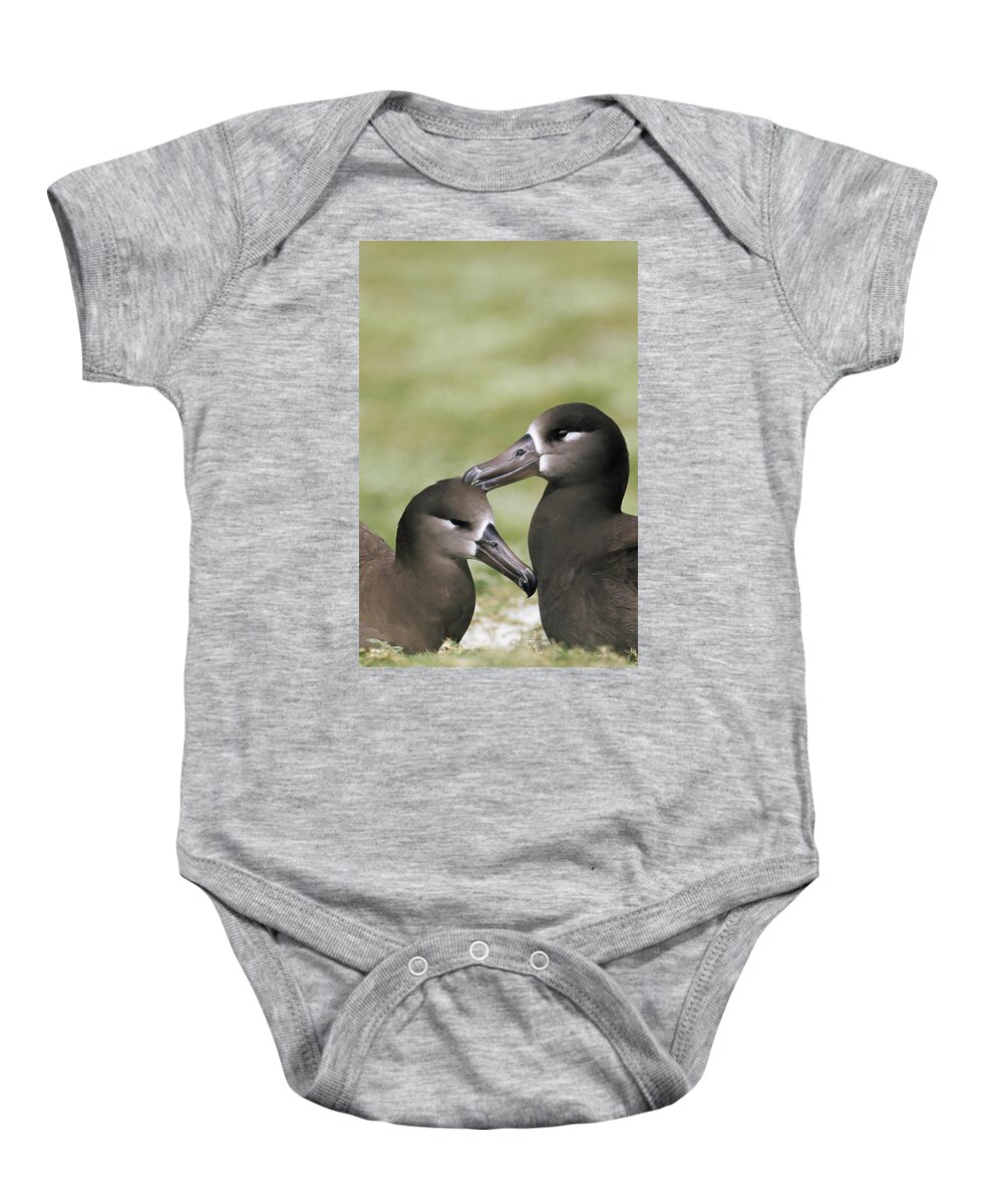 Feb0514 Baby Onesie featuring the photograph Black-footed Albatross Pair Bondingl by Tui De Roy