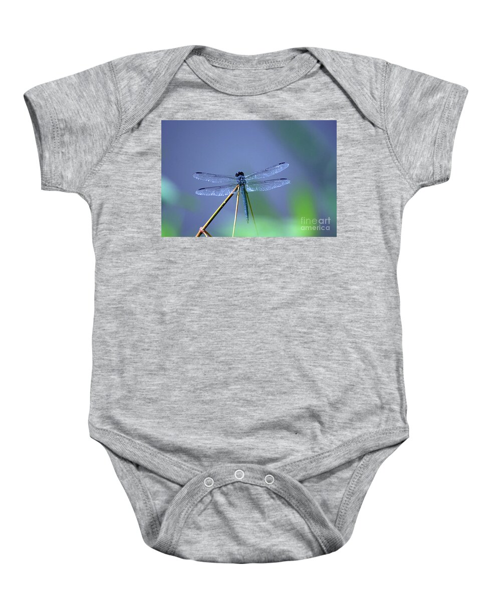 Dragon Fly Baby Onesie featuring the photograph Blue Dragon by Living Color Photography Lorraine Lynch
