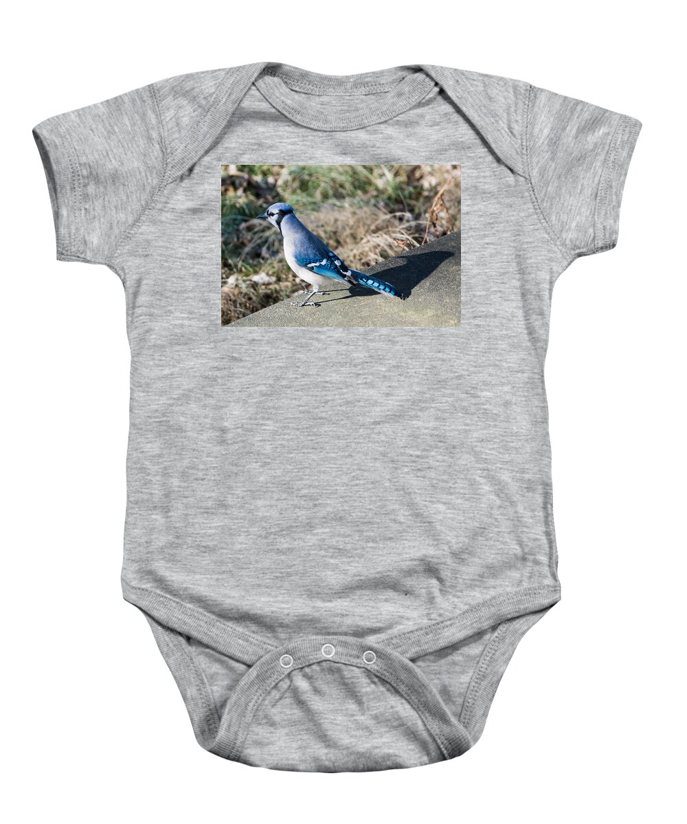 Blue Jay Baby Onesie featuring the photograph Blue Jay and His Shadow by Holden The Moment