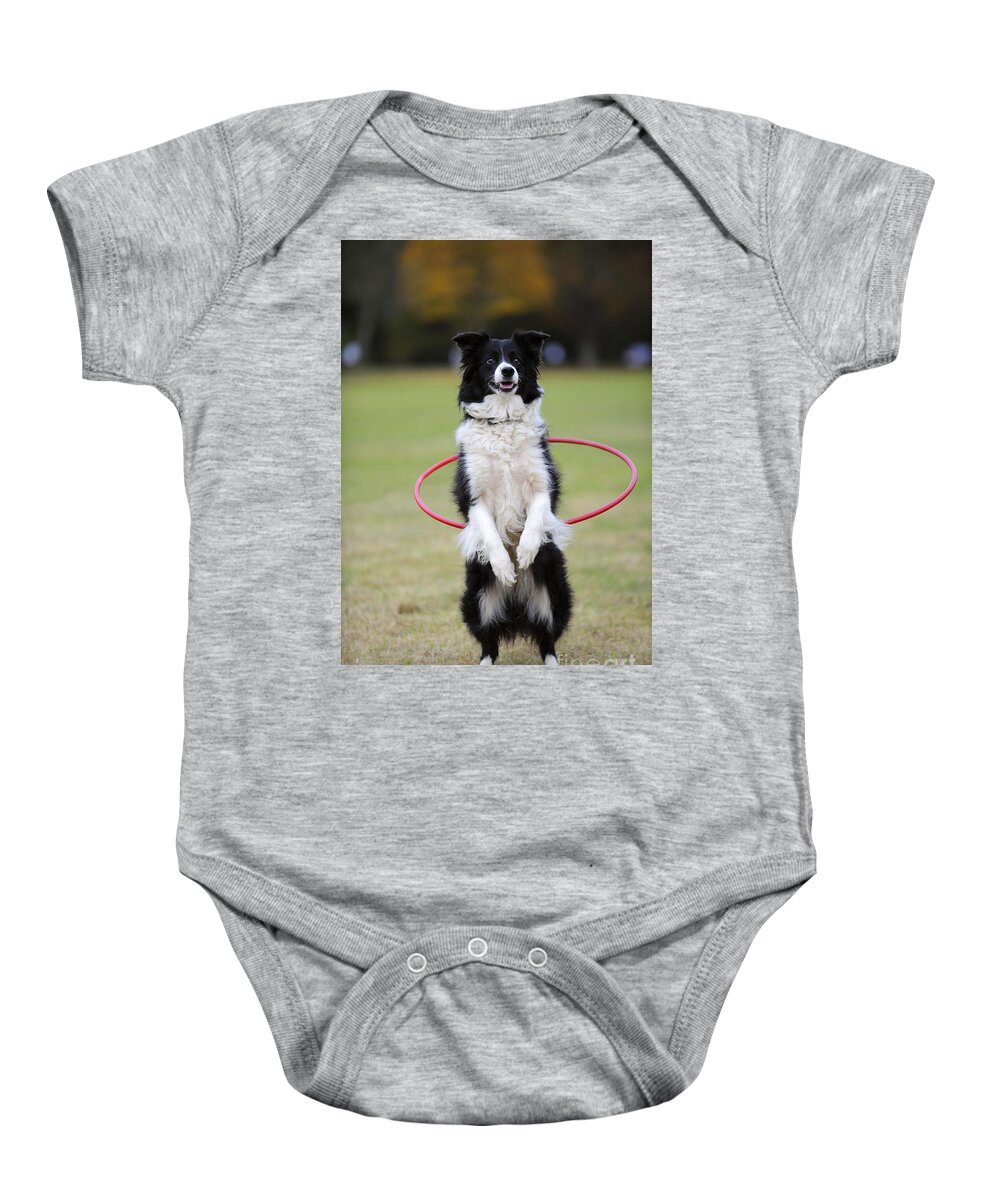Border Collie Baby Onesie featuring the photograph Border Collie Hula Hoop by John Daniels