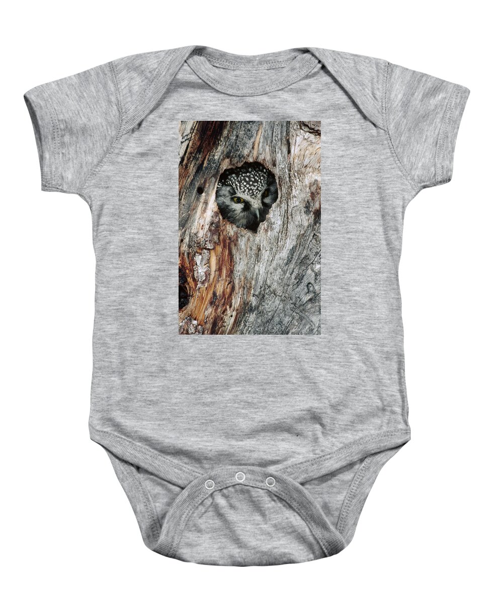 Feb0514 Baby Onesie featuring the photograph Boreal Owl In Tree Cavity Alaska by Michael Quinton