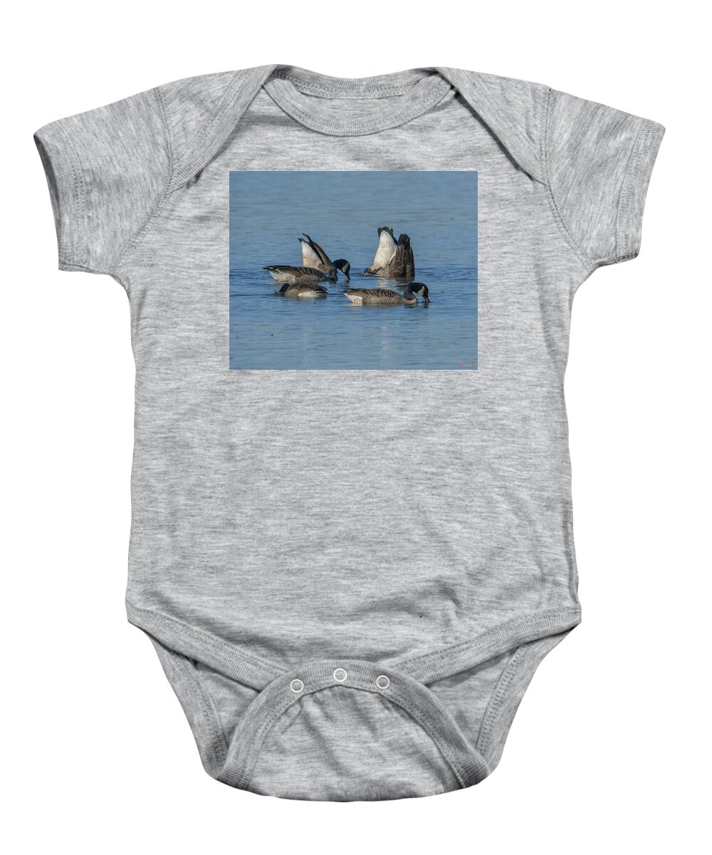 Marsh Baby Onesie featuring the photograph Bottoms Up-Canada Geese Feeding on Bay Bottom DWF119 by Gerry Gantt