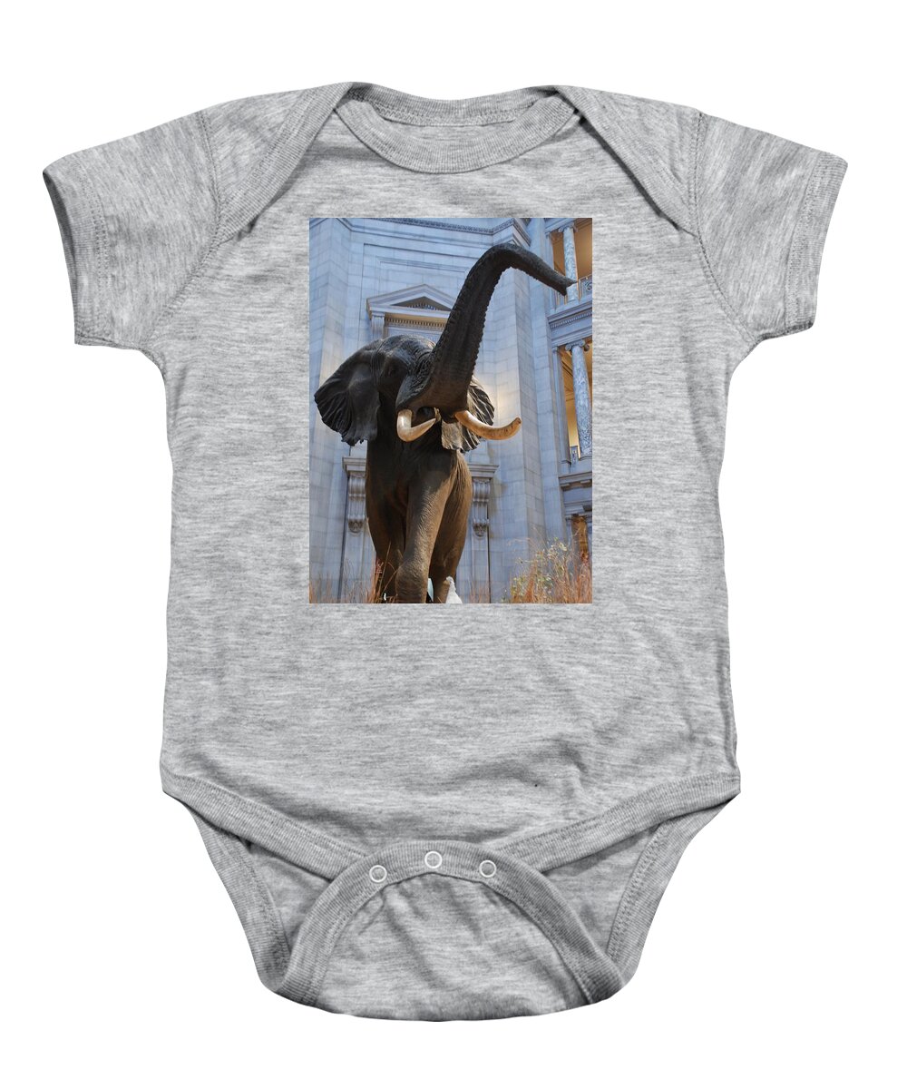 Bull Elephant Baby Onesie featuring the photograph Bull Elephant in Natural History Rotunda by Kenny Glover