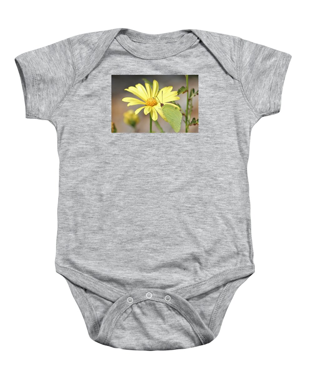 Butterfly Baby Onesie featuring the photograph Butterfly On Daisy by Cynthia Guinn