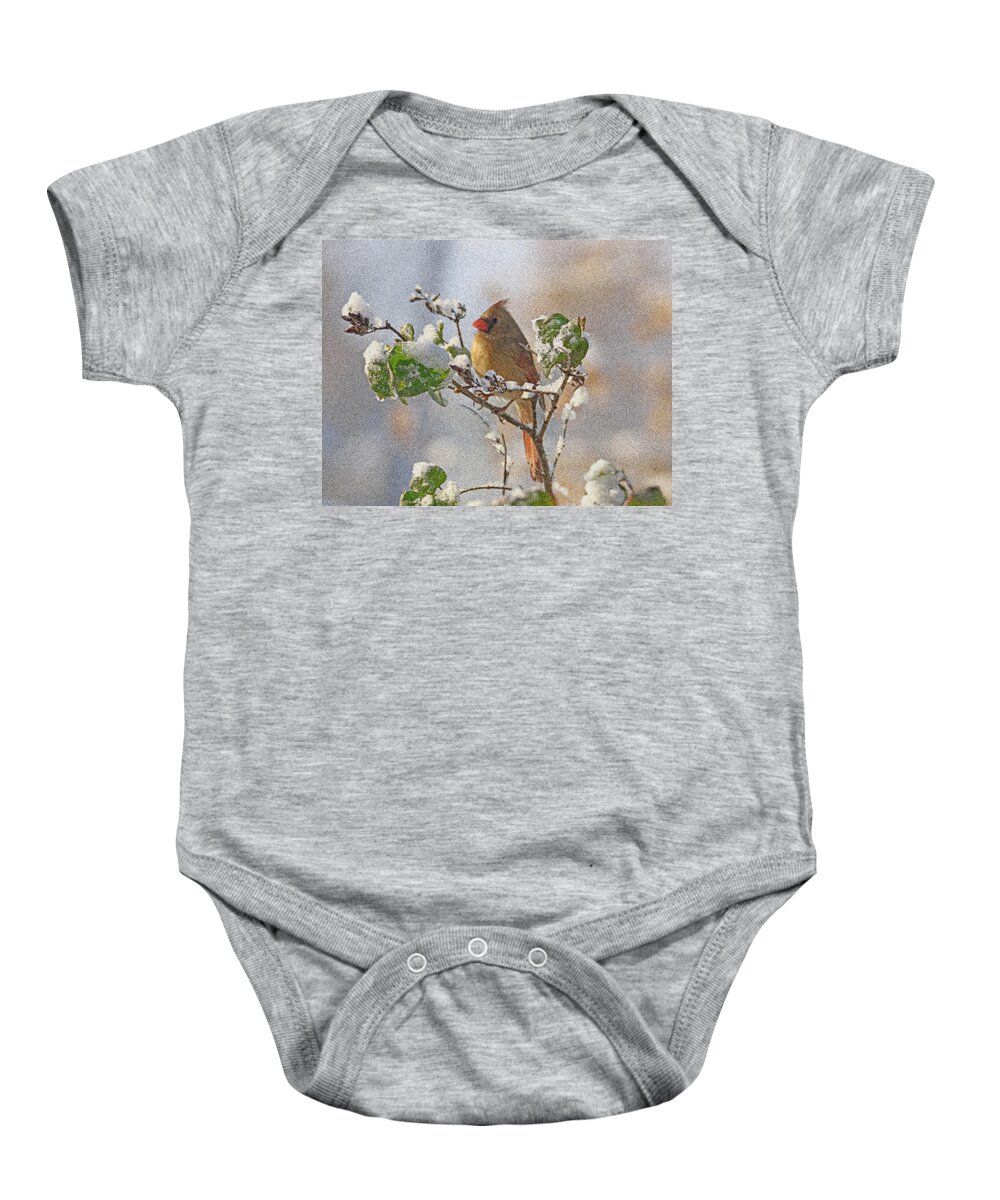 Cardinal Baby Onesie featuring the photograph Cardinal on Snowy Branch by Sandy Keeton
