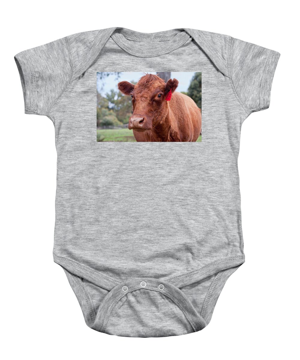 Cow Baby Onesie featuring the photograph Charlotte by Michelle Wrighton